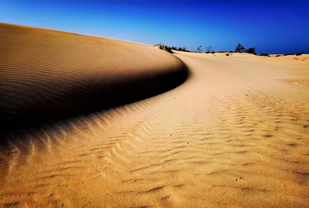 The magic and silence of Fuerteventura.