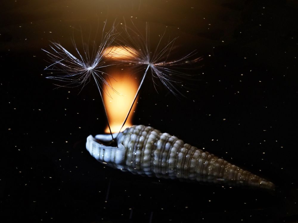 Photograph by Юлия Иванова