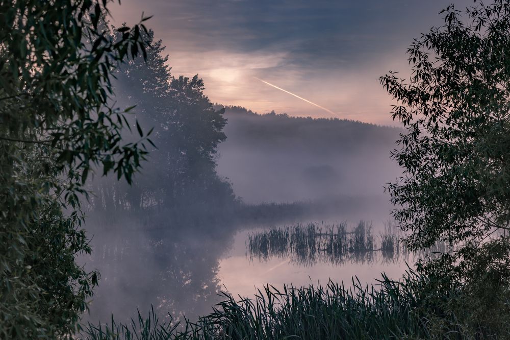Photograph by Владимир Андреев