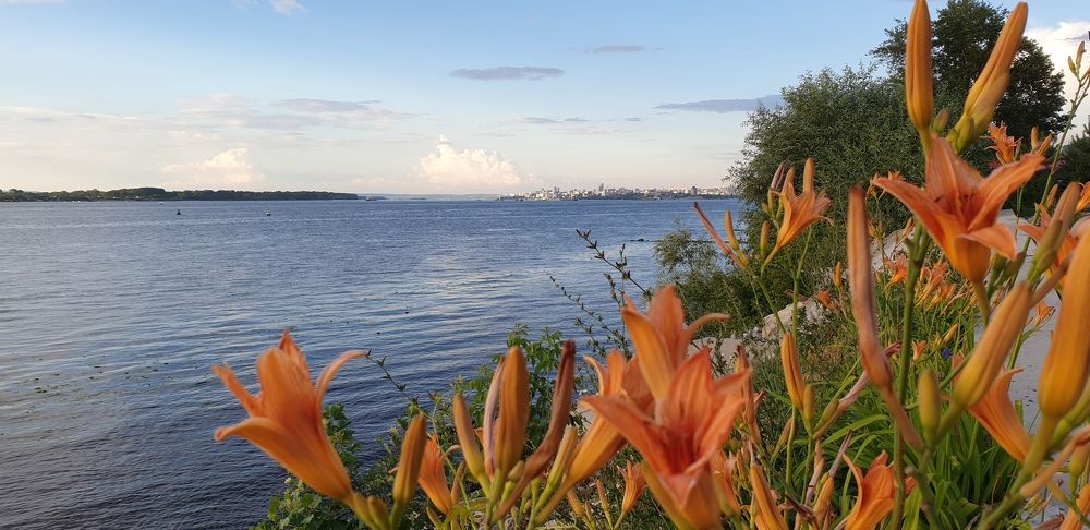 Photograph by Tatiana Denisova