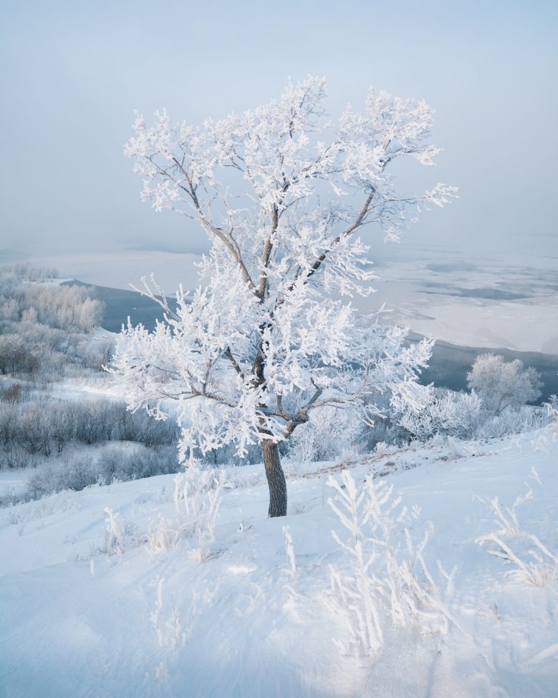 Фотография автора Алексей Проняхин