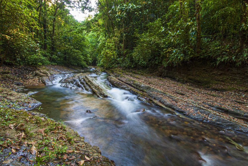Photograph by Roberto Pacheco