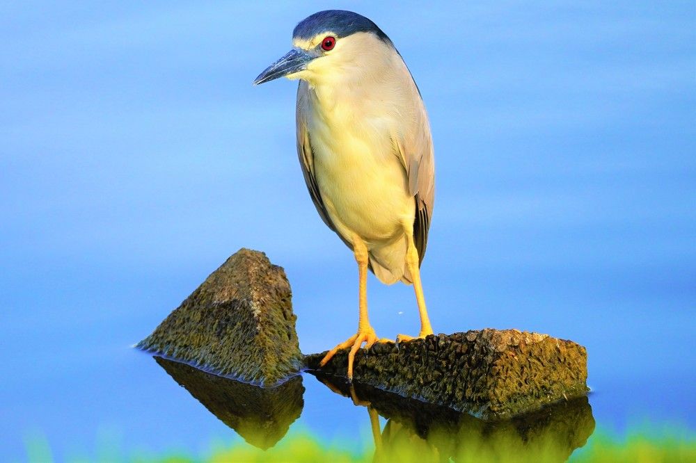 Photograph by Tamir Mor