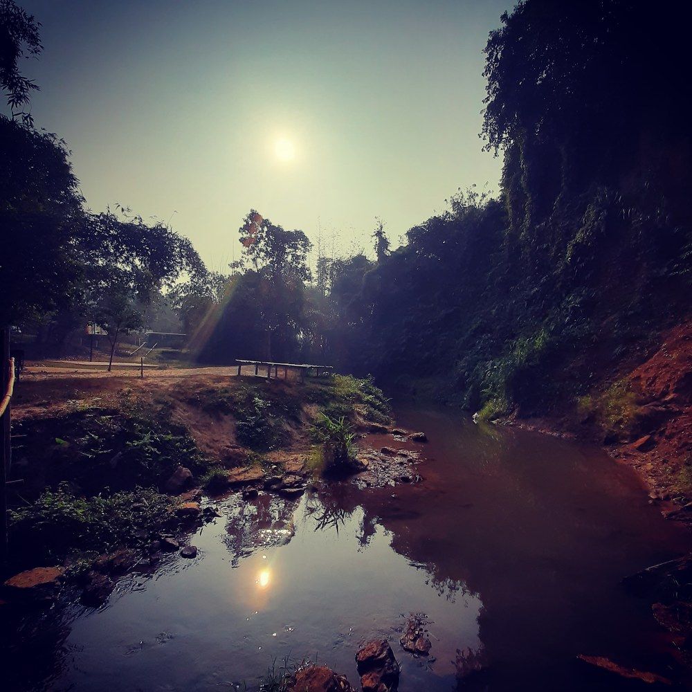 Photograph by Mostafa Shahriar