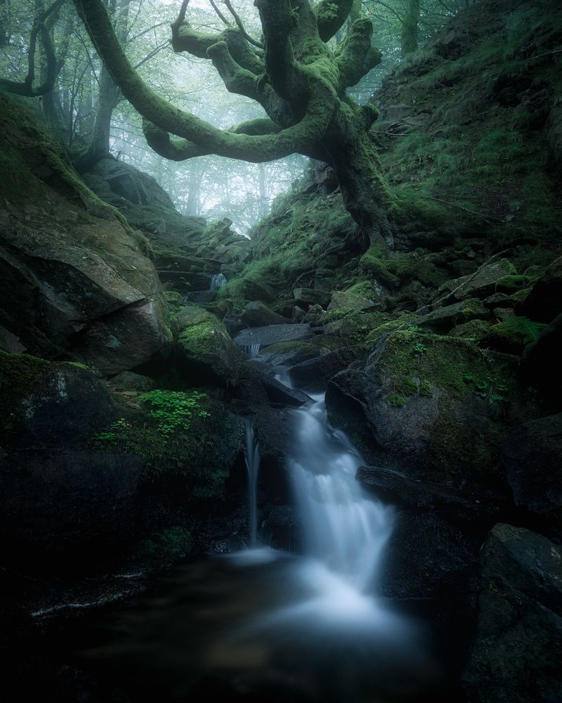 Photograph by Alfonso Maseda Varela