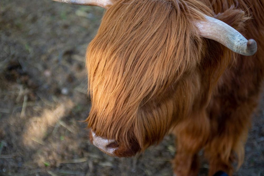 Фотография автора Владимир Оликов