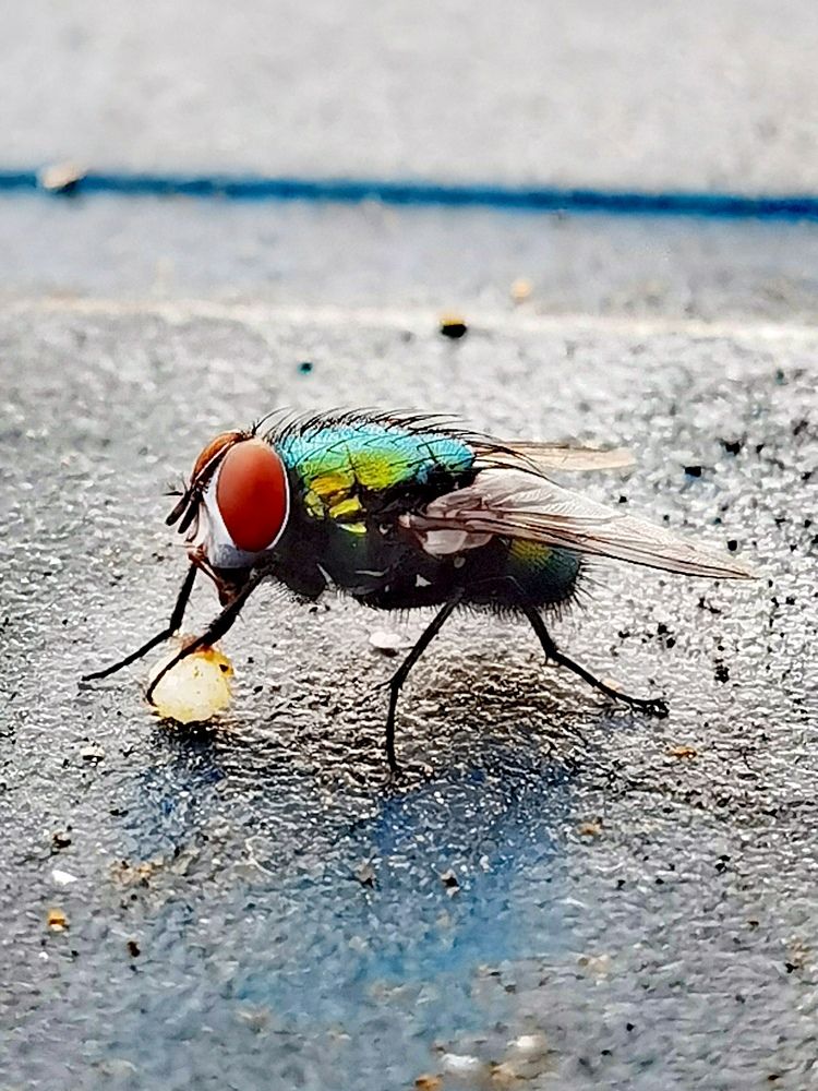 Photograph by Enrique S. Alonso