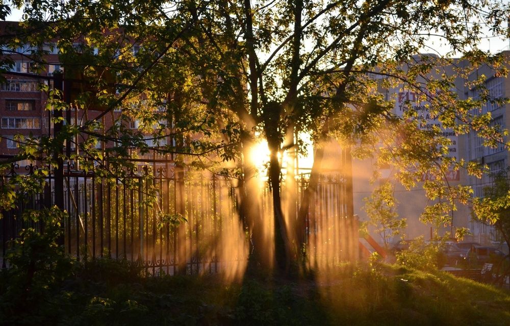 Photograph by Евгений Спиридонов