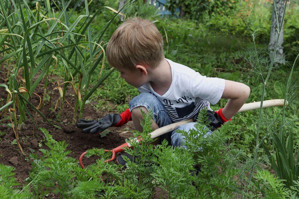 Photograph by Евгений Фетисов