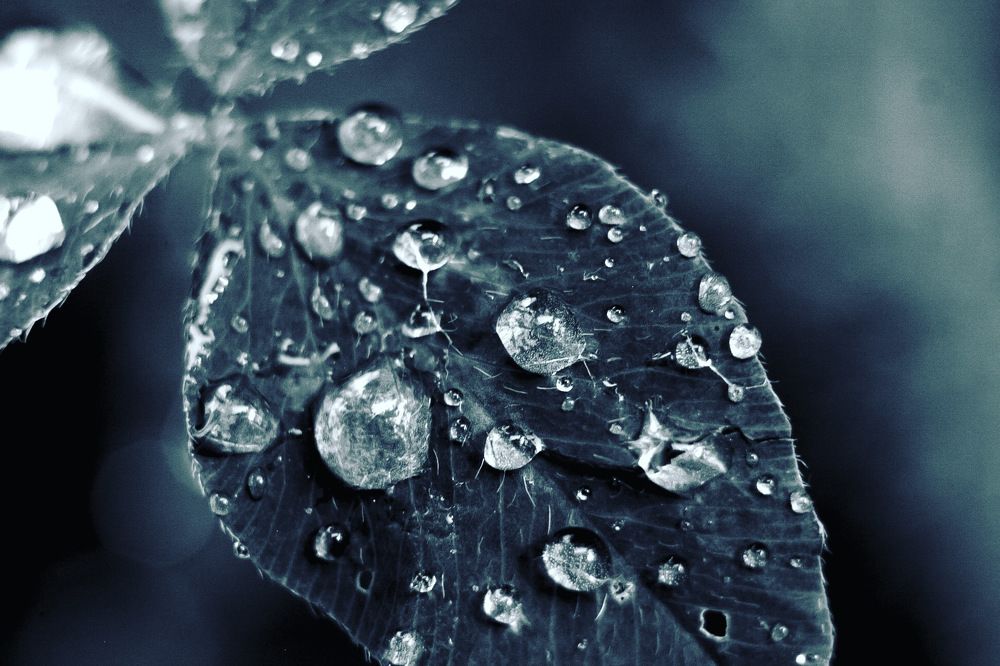 Photograph by Ян Рюмин