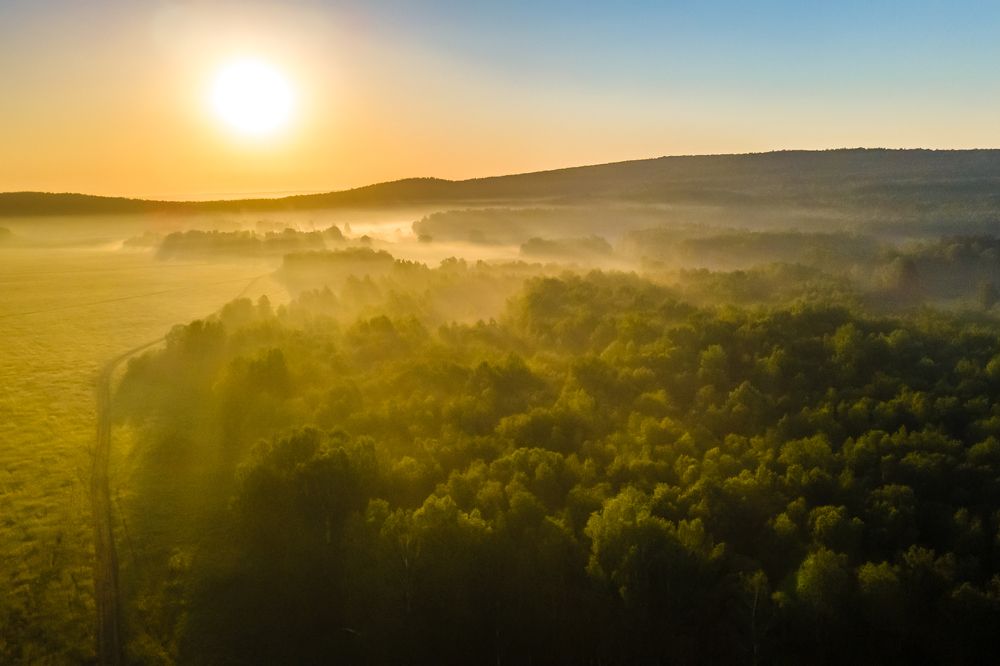 Photograph by Жданов Дмитрий