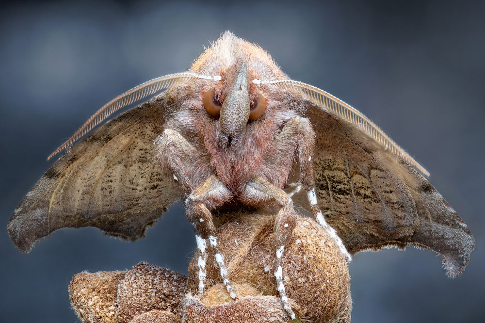 Photograph by Кузнецов Дмитрий