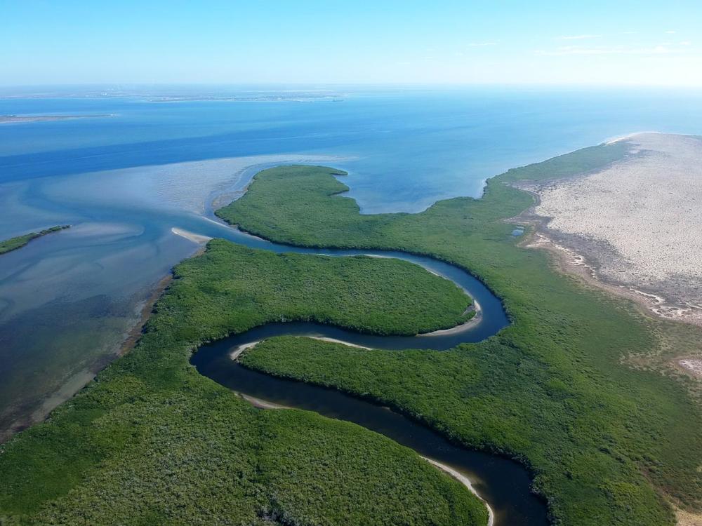 Photograph by Екатерина Чистякова