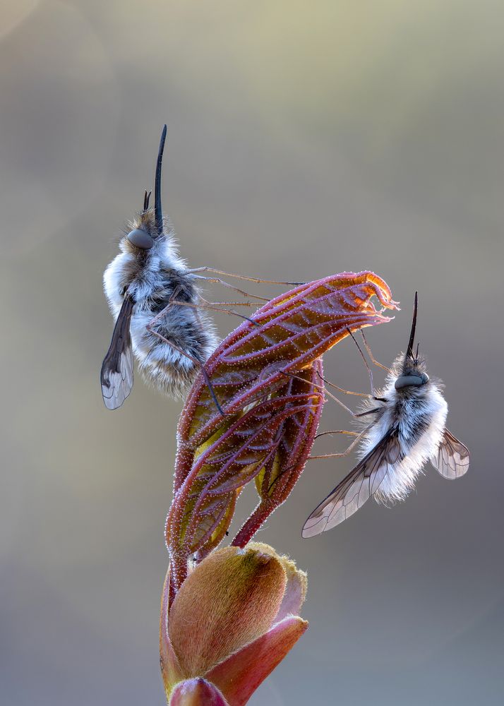 Photograph by Кузнецов Дмитрий