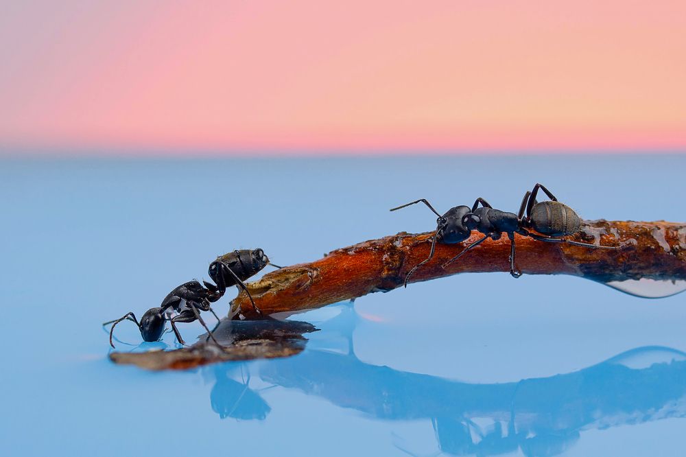 Photograph by Alexandr Pereverzev