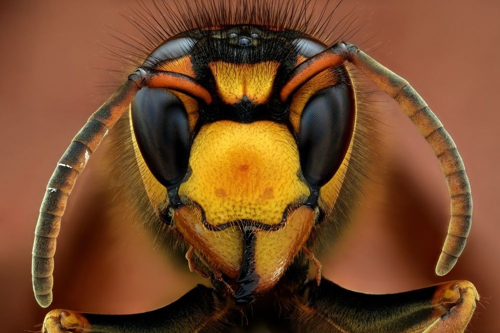 Серьёзный парень