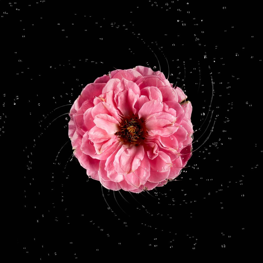 Photograph by Дмитрий Лукьянов