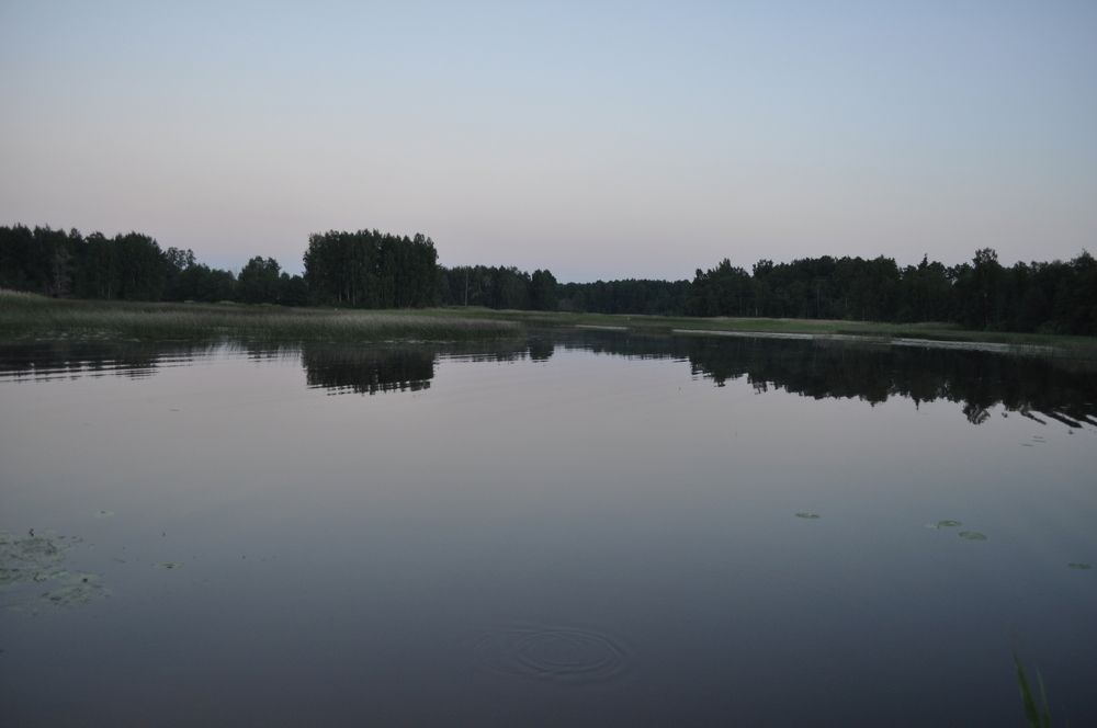 Photograph by Дмитрий Шарый