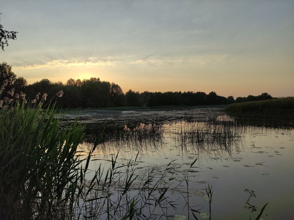 Photograph by Дмитрий Шарый