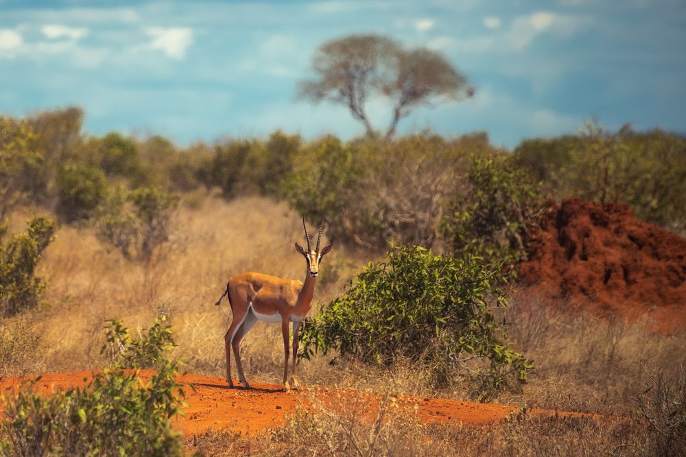 Photograph by Наталия Деркач