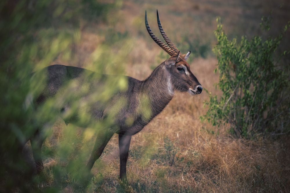 Photograph by Наталия Деркач