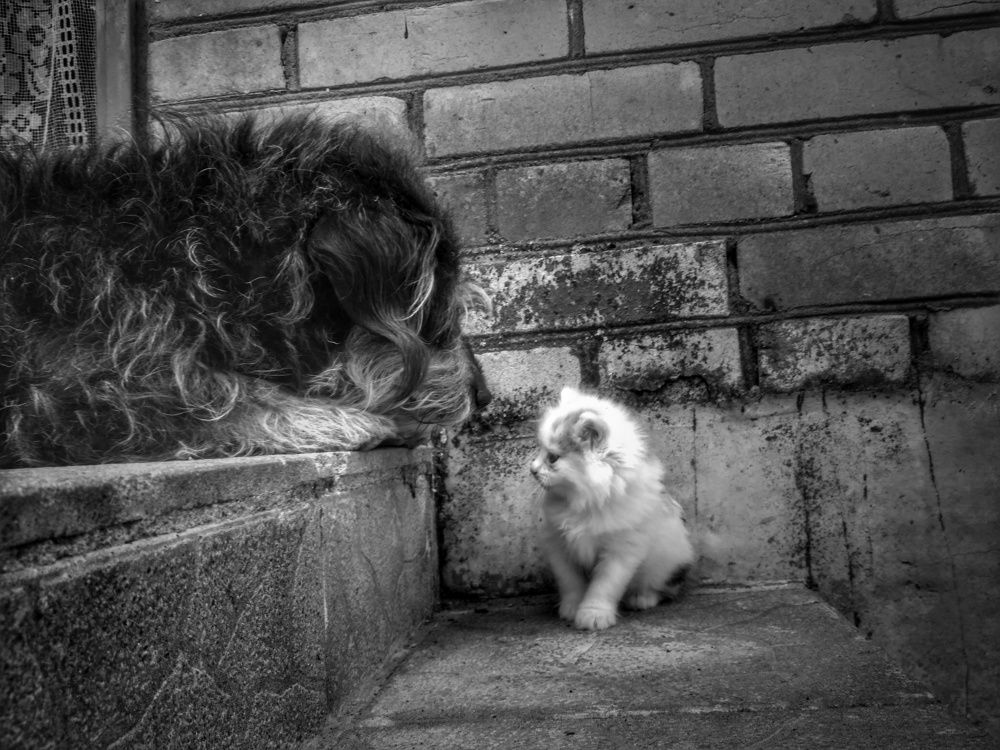 Знакомство