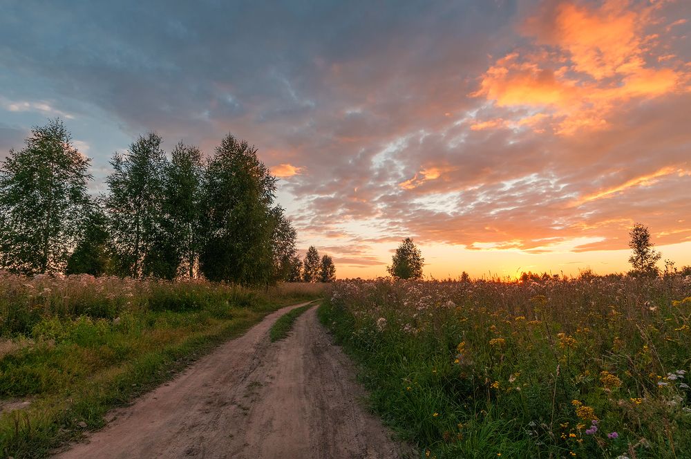 Photograph by Елена Потемина