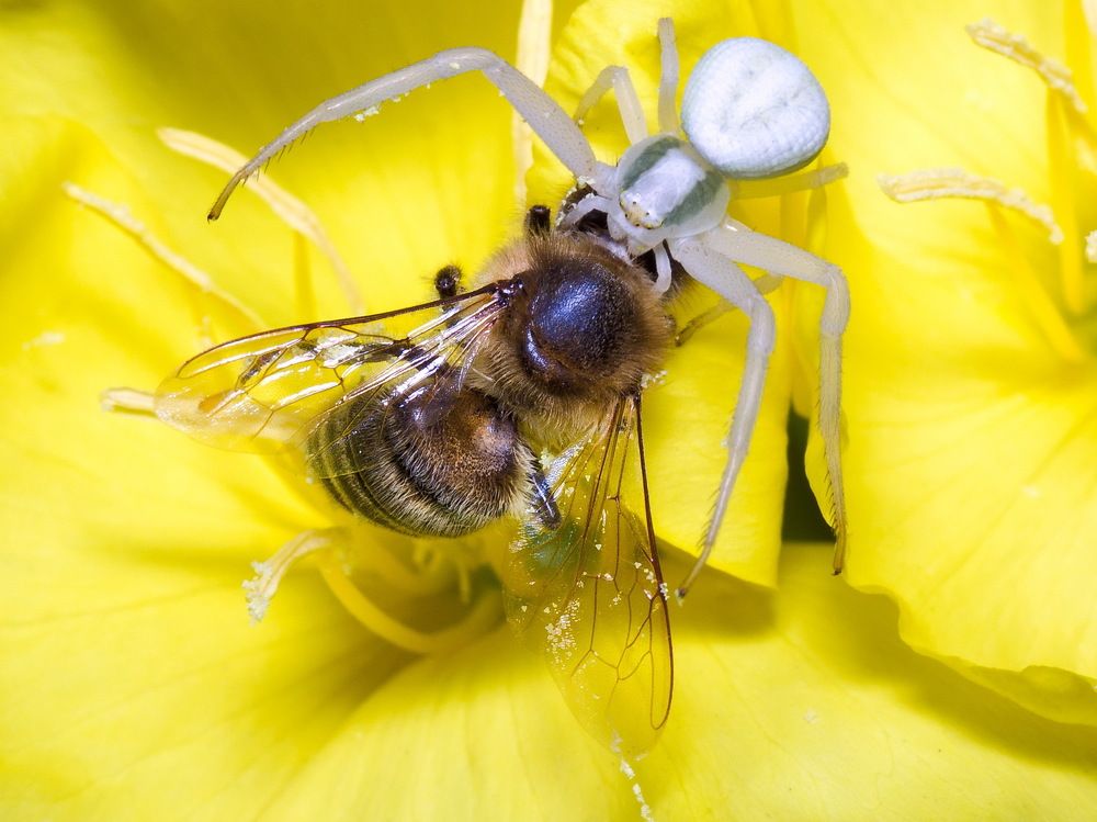 Photograph by Александр