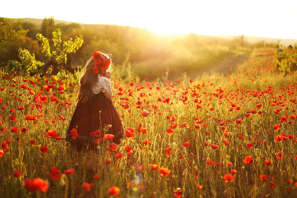 Photograph by Татьяна Скворцова