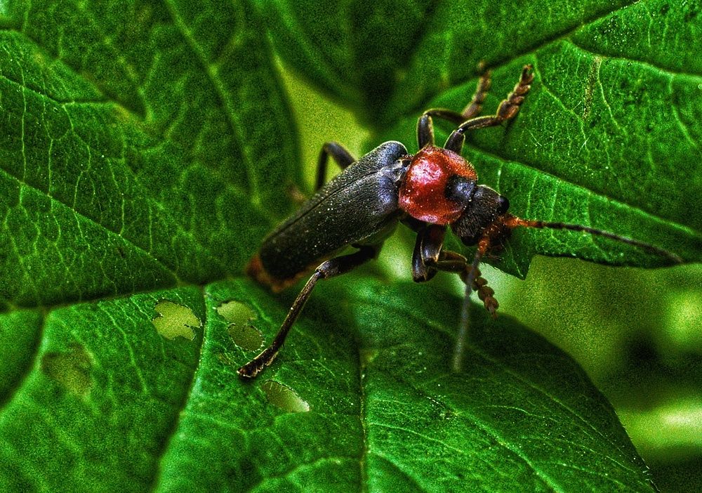 Photograph by Ирина Шилина