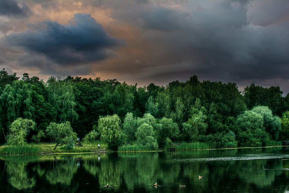 Photograph by Дмитрий Жижин