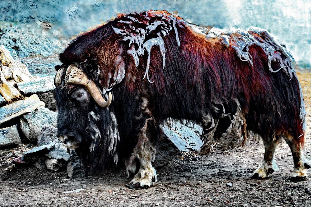 Photograph by вячеслав милов