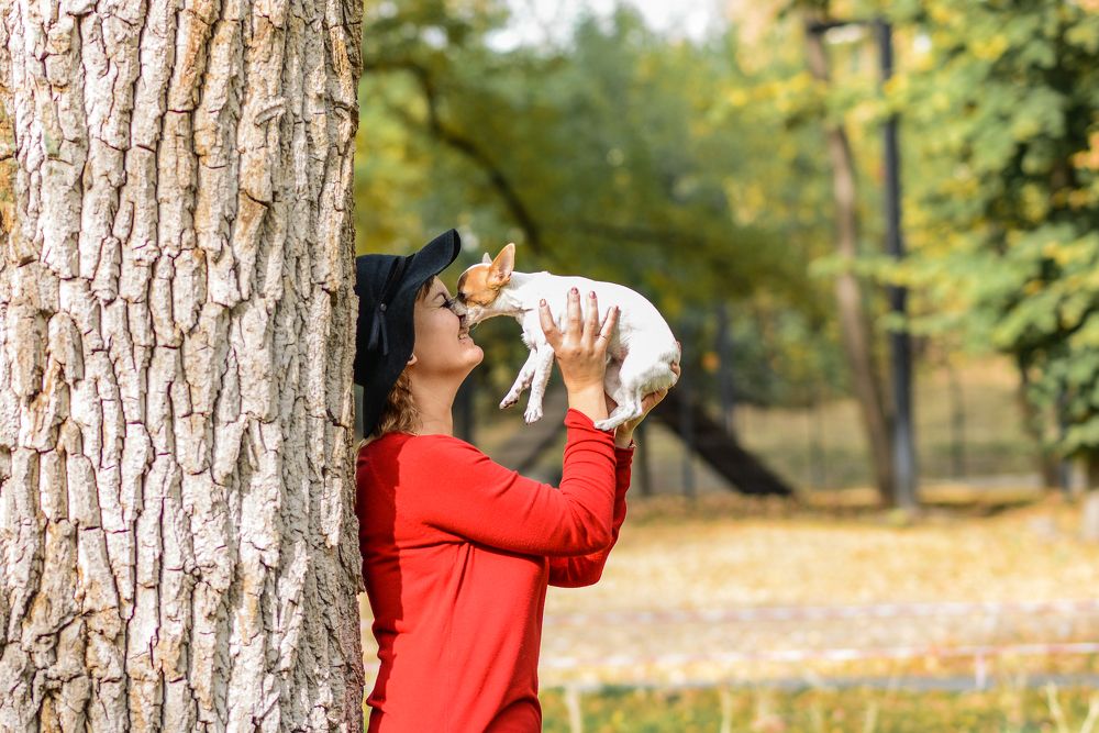 Photograph by Виктория Шульгина