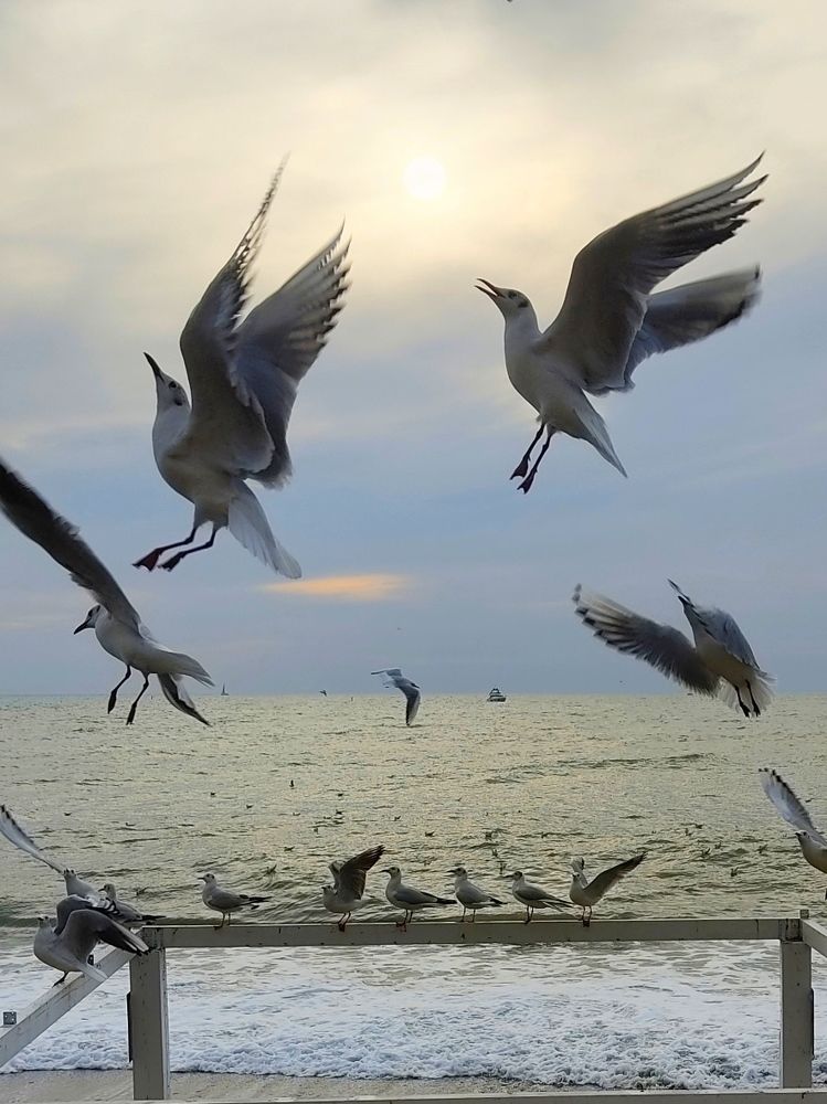 Танец у моря...