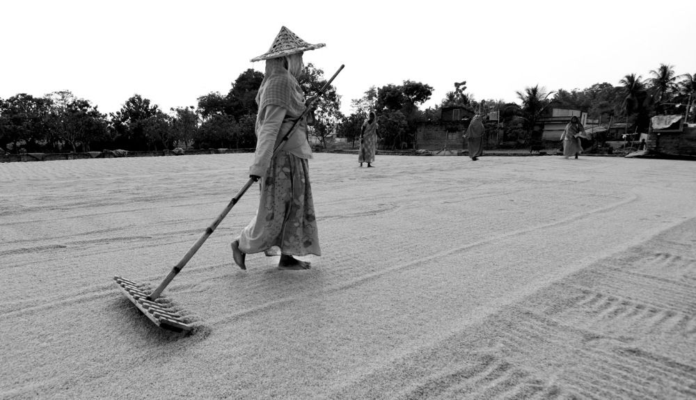 Drying grain