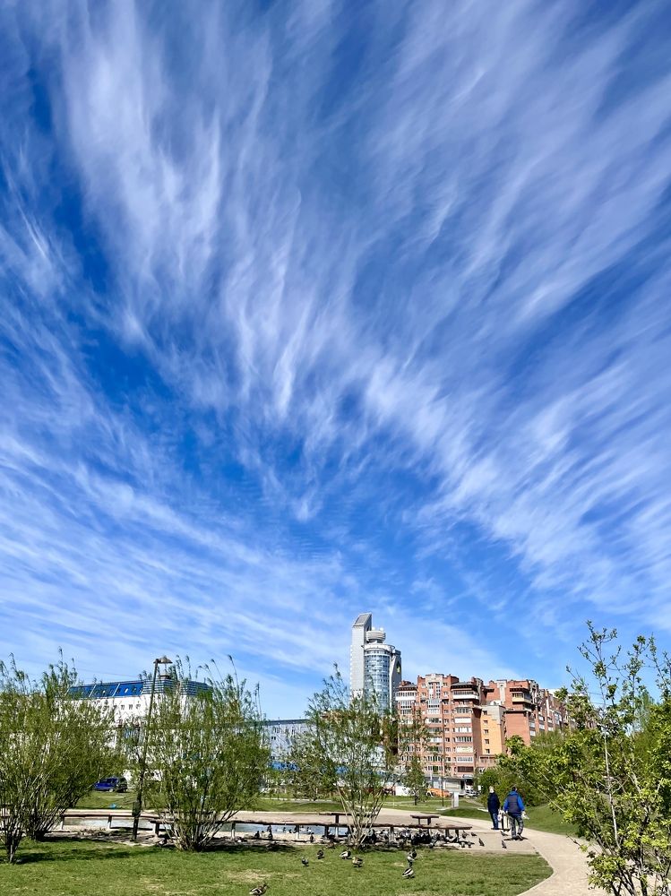 Крылья ангела