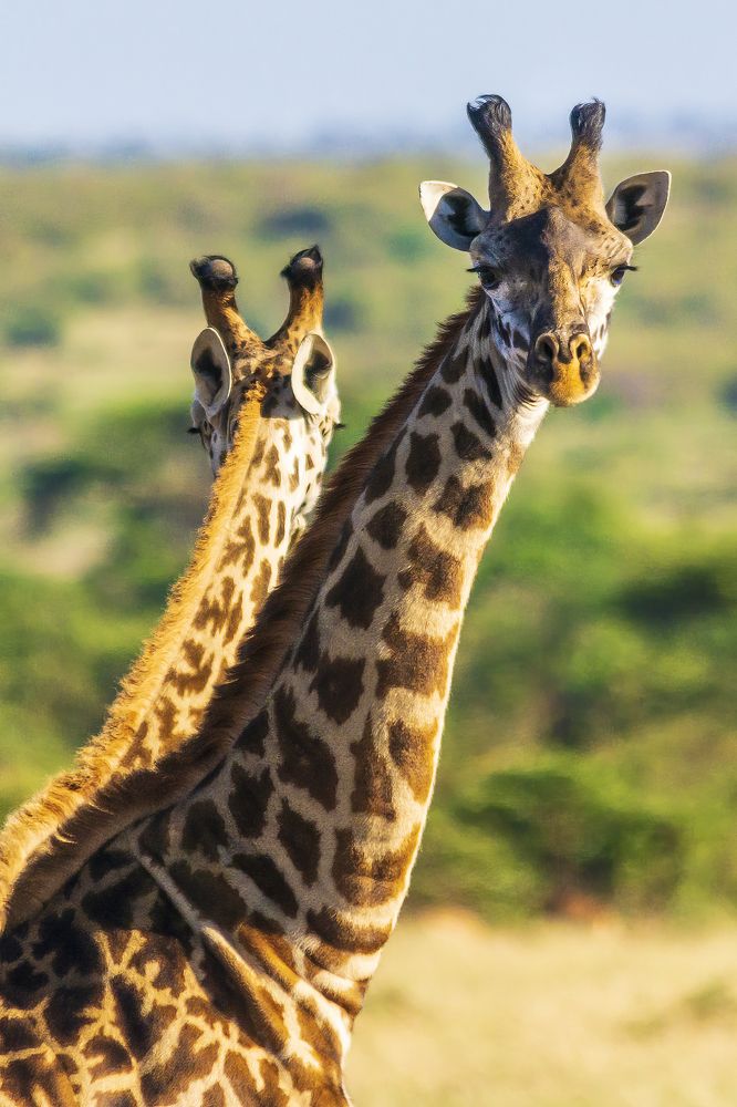 Photograph by Jorge Ivan Vasquez