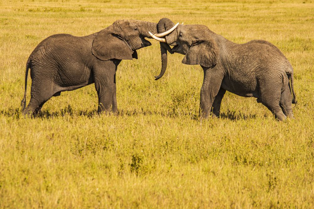 Photograph by Jorge Ivan Vasquez