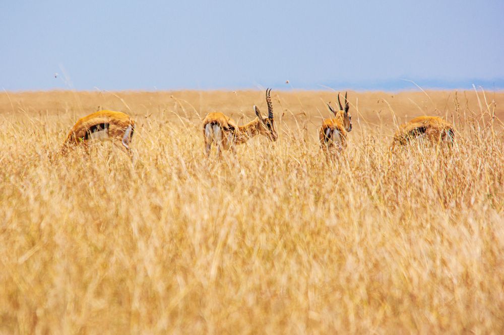 Photograph by Jorge Ivan Vasquez