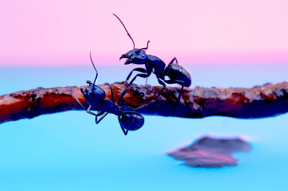 Photograph by Alexandr Pereverzev