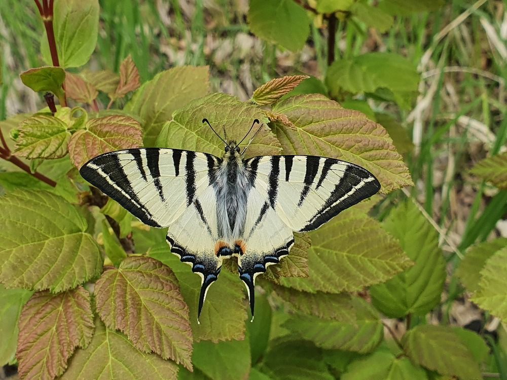 Photograph by Виктория Погорилко