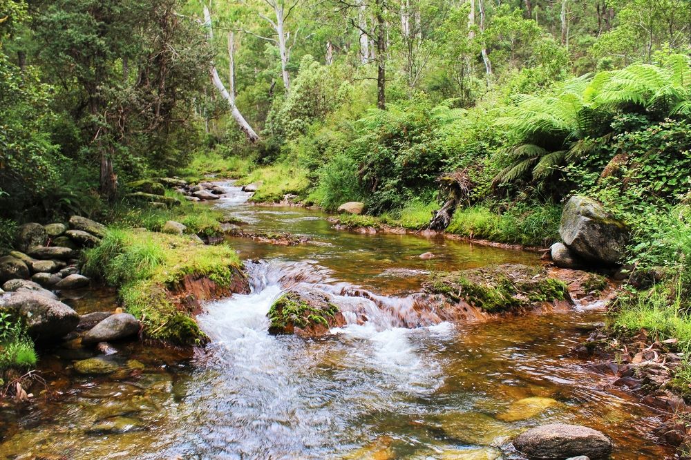 Photograph by Kirsteen Isles