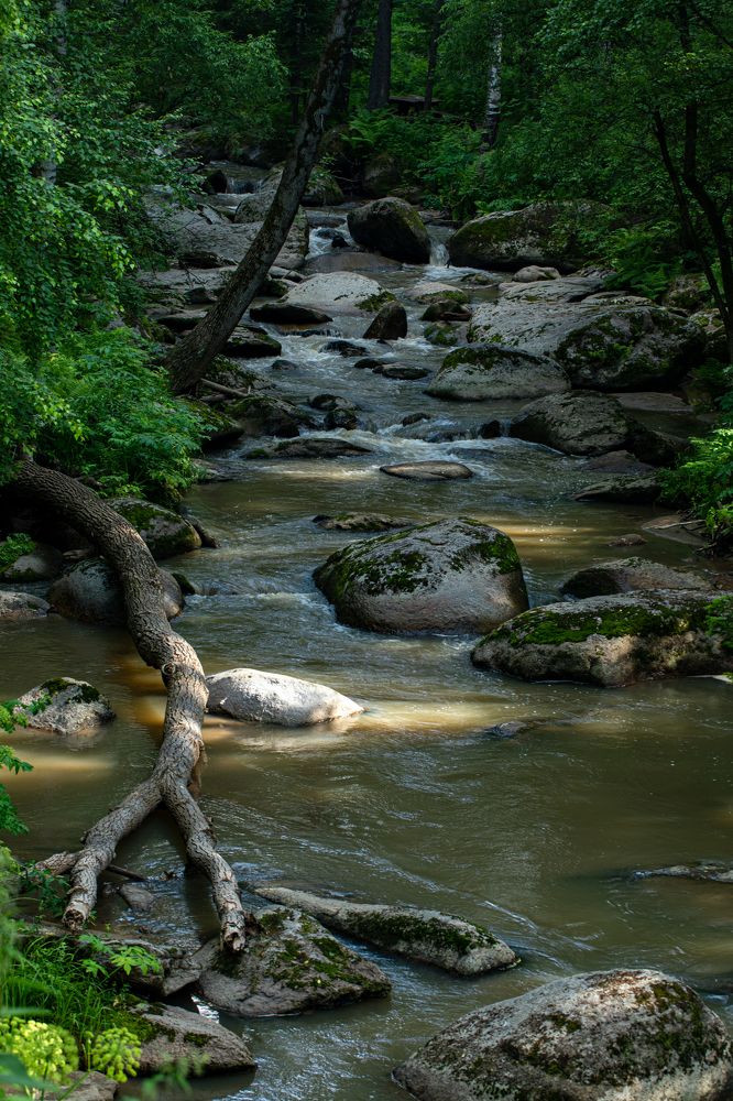 Photograph by Людмила Аксенова