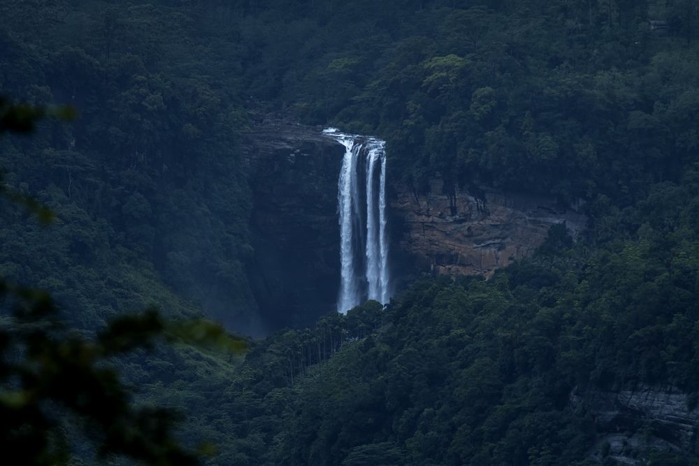 Photograph by Dhananjaya Dassanayake