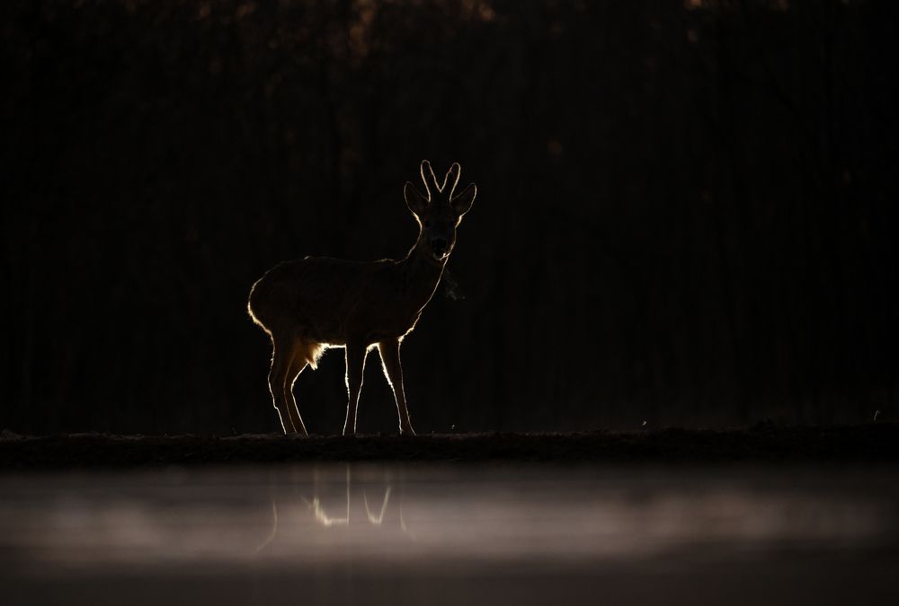 Photograph by Juraj Benčík