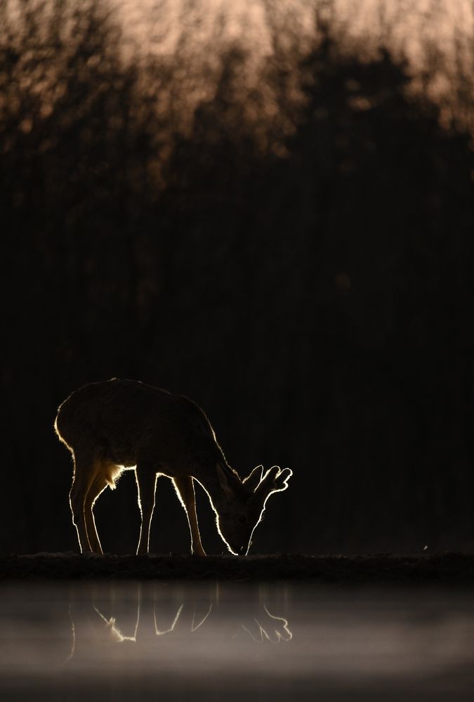 Фотография автора Juraj Benčík