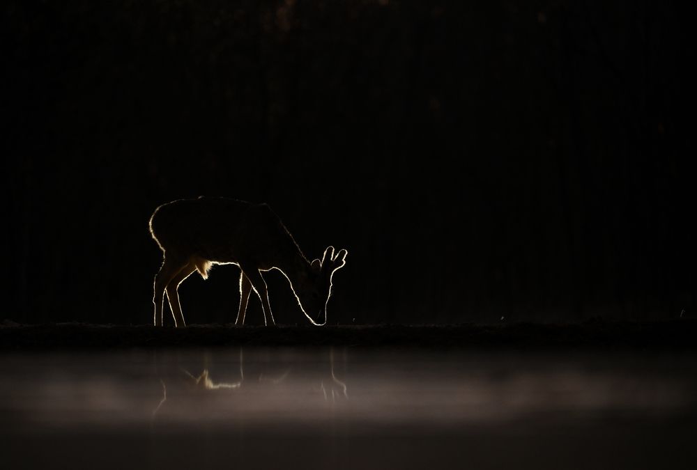 Photograph by Juraj Benčík