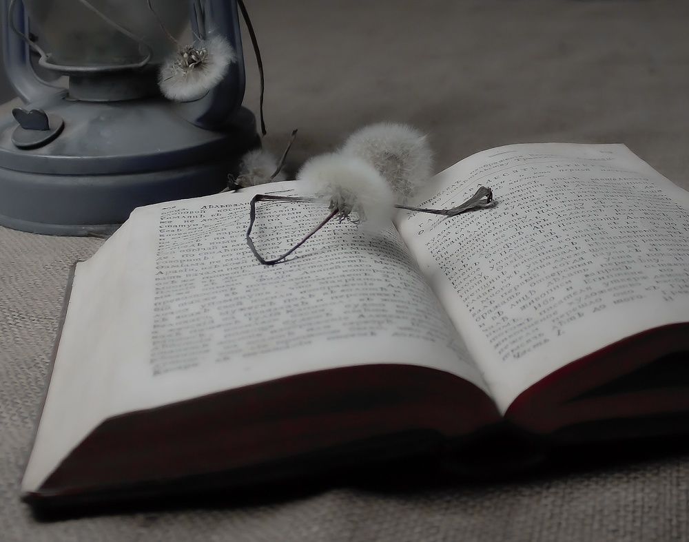 Увлекательное чтение или размышление на тему бытия и искусства