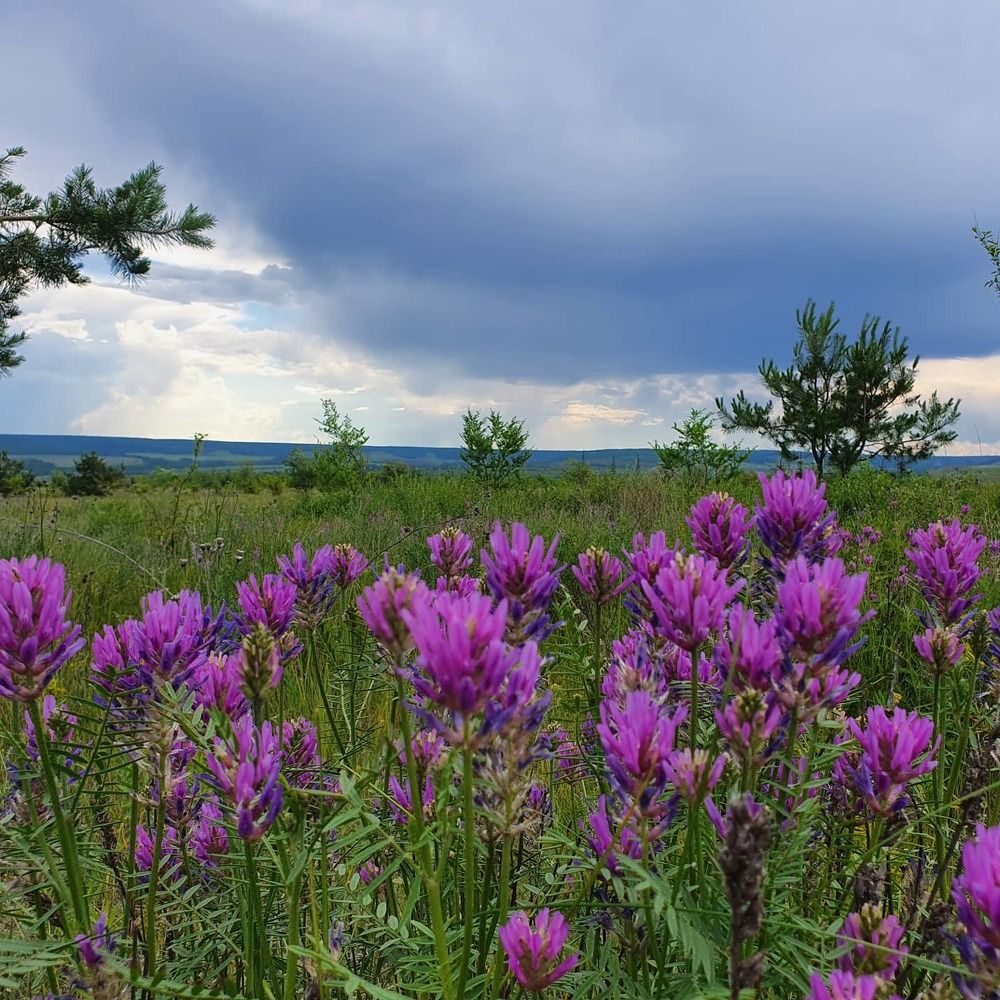 Photograph by Виктория Погорилко