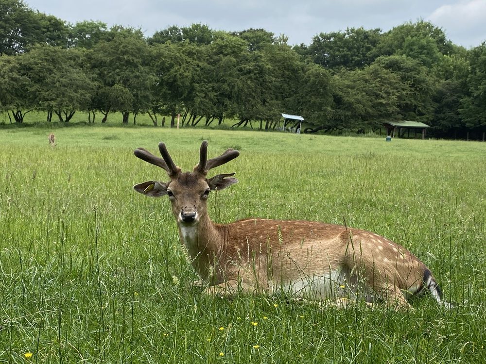 Фотография автора Ramin Ismayilov